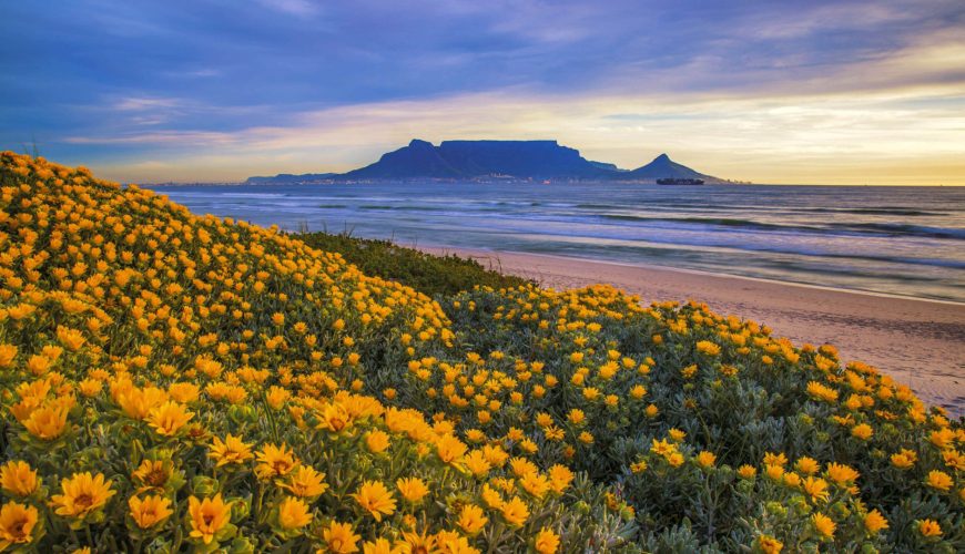 Viaggio a Cape Town e dintorni