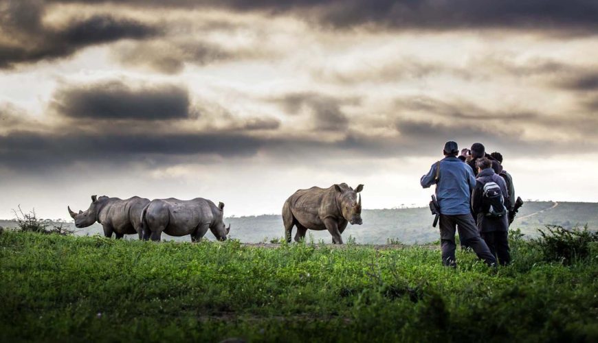 Viaggio Bush & Beaches Sudafrica