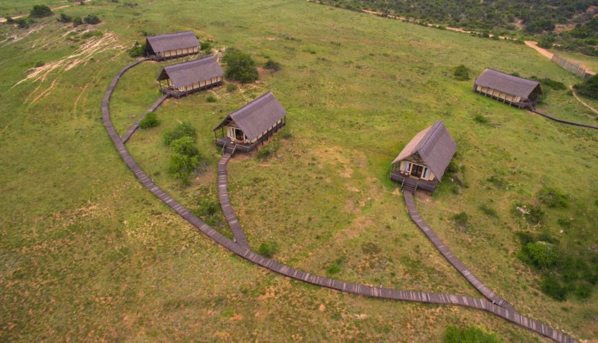 disposizione delle tende del gorah elephant camp