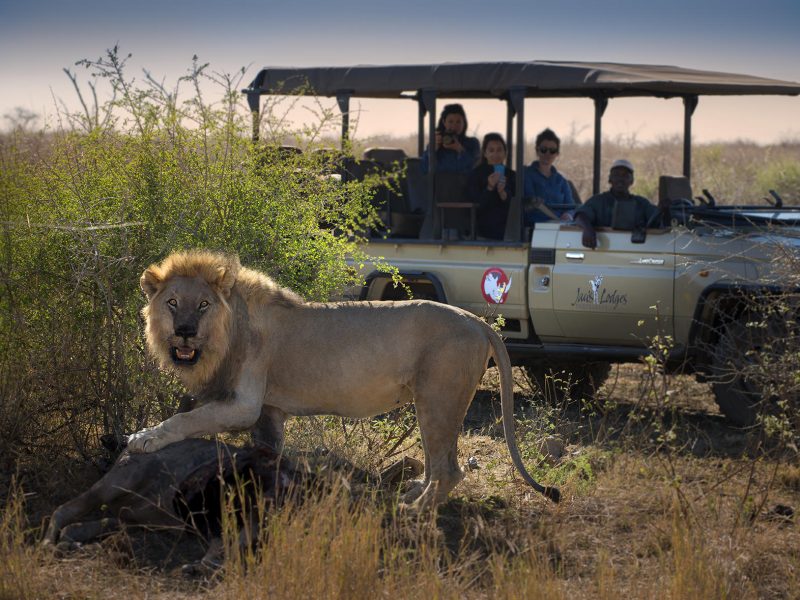 Safari Madikwe Game Reserve