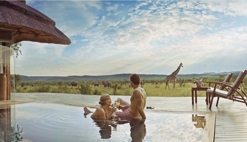 coppia osserva dalla piscina del madikwe hjills una giraffa e una mandira di elefanti nella savana di madikwe