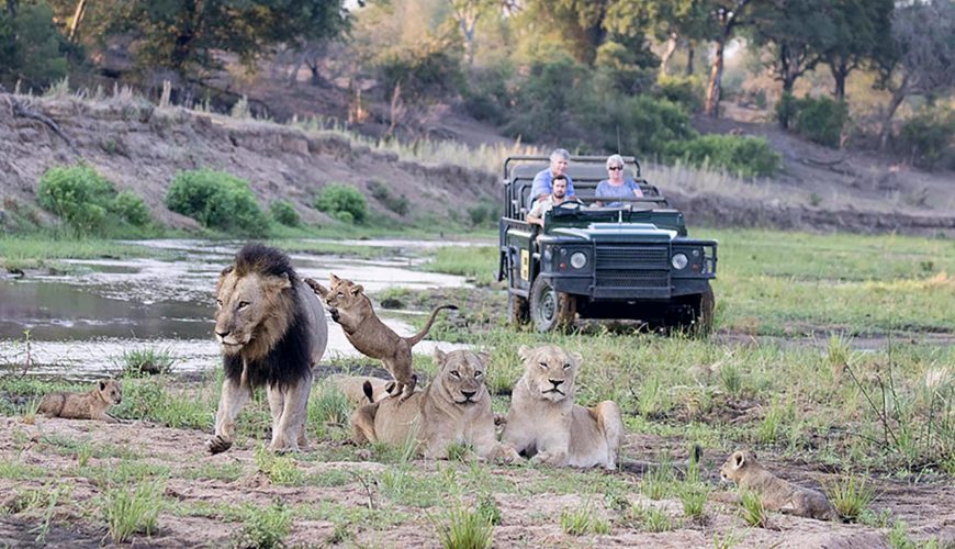 Viaggio da Cape Town al Kruger