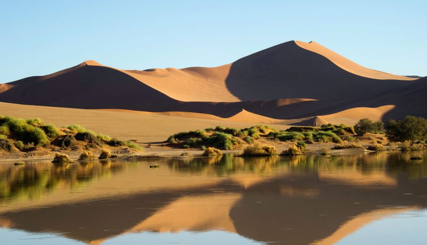 Safari in Namibia