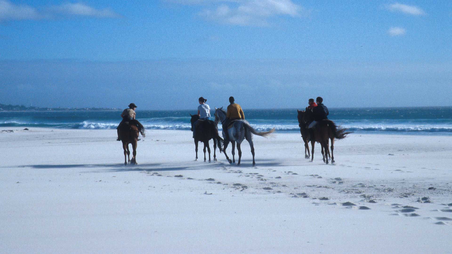 a cavallo sulla spiaggia di noordhoek