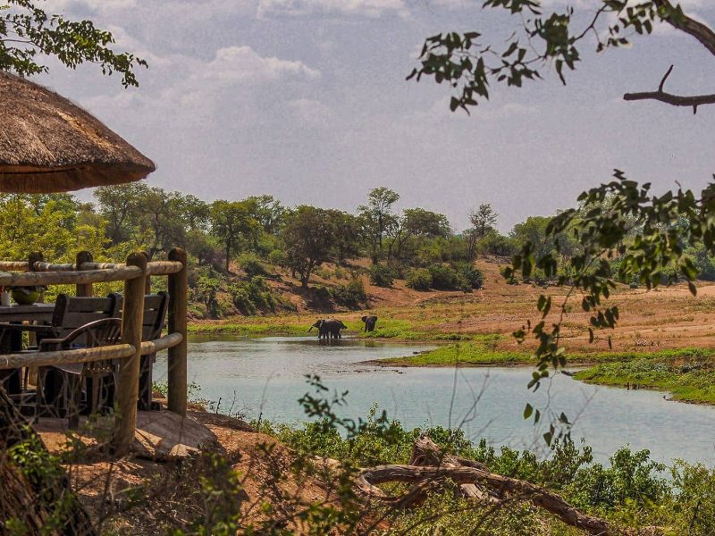 elefanti lungo il fiume shingwedzi visti dal rest camp