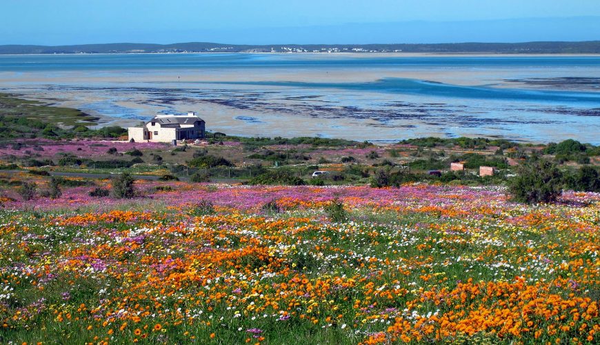 Tour Laguna di Langebaan