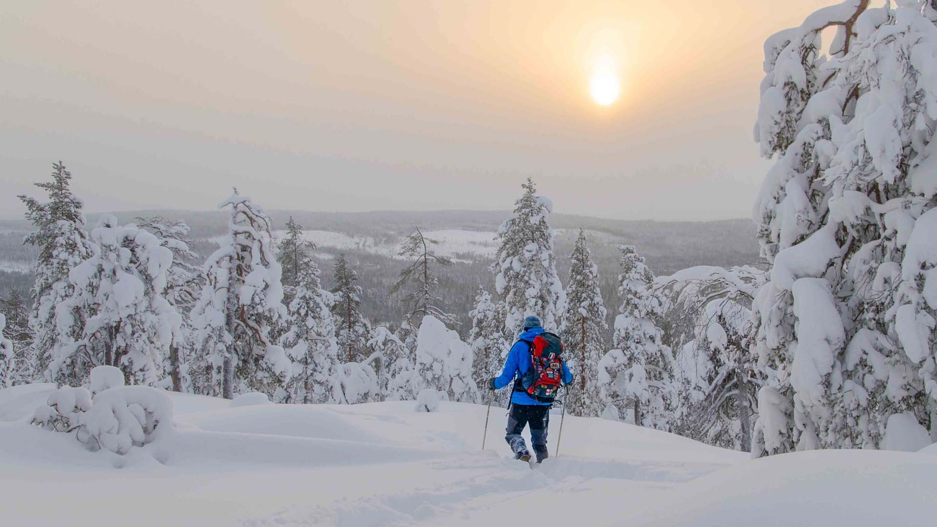 sciatore di fondo nella neve fresca in Finlandia