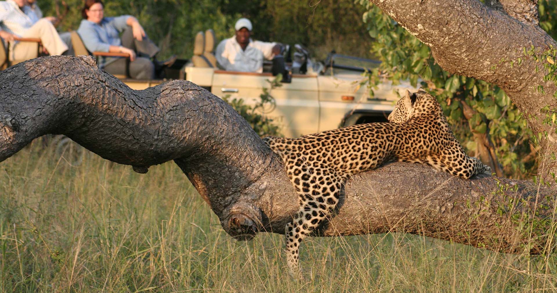Safari Manyeleti Game Reserve