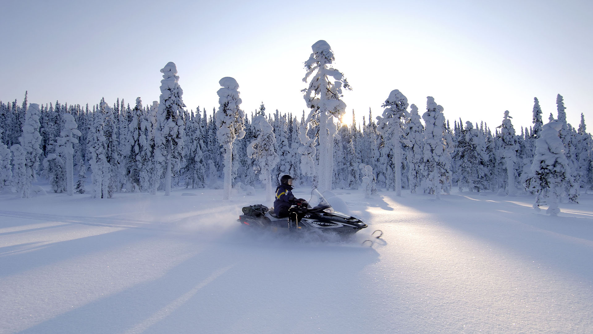 motoslitta nelle nevi della foresta della Lapponia finlandese