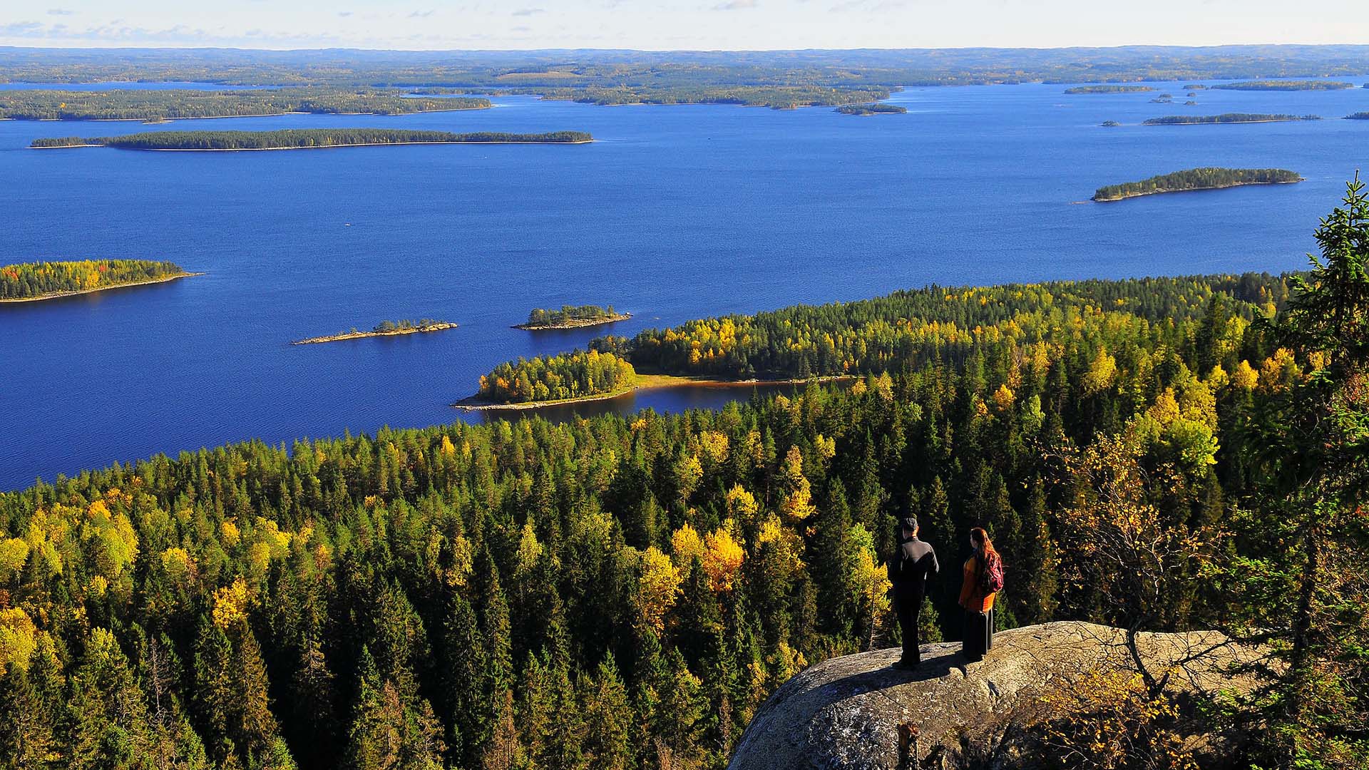 vista del lago pielineno da ukko-koli