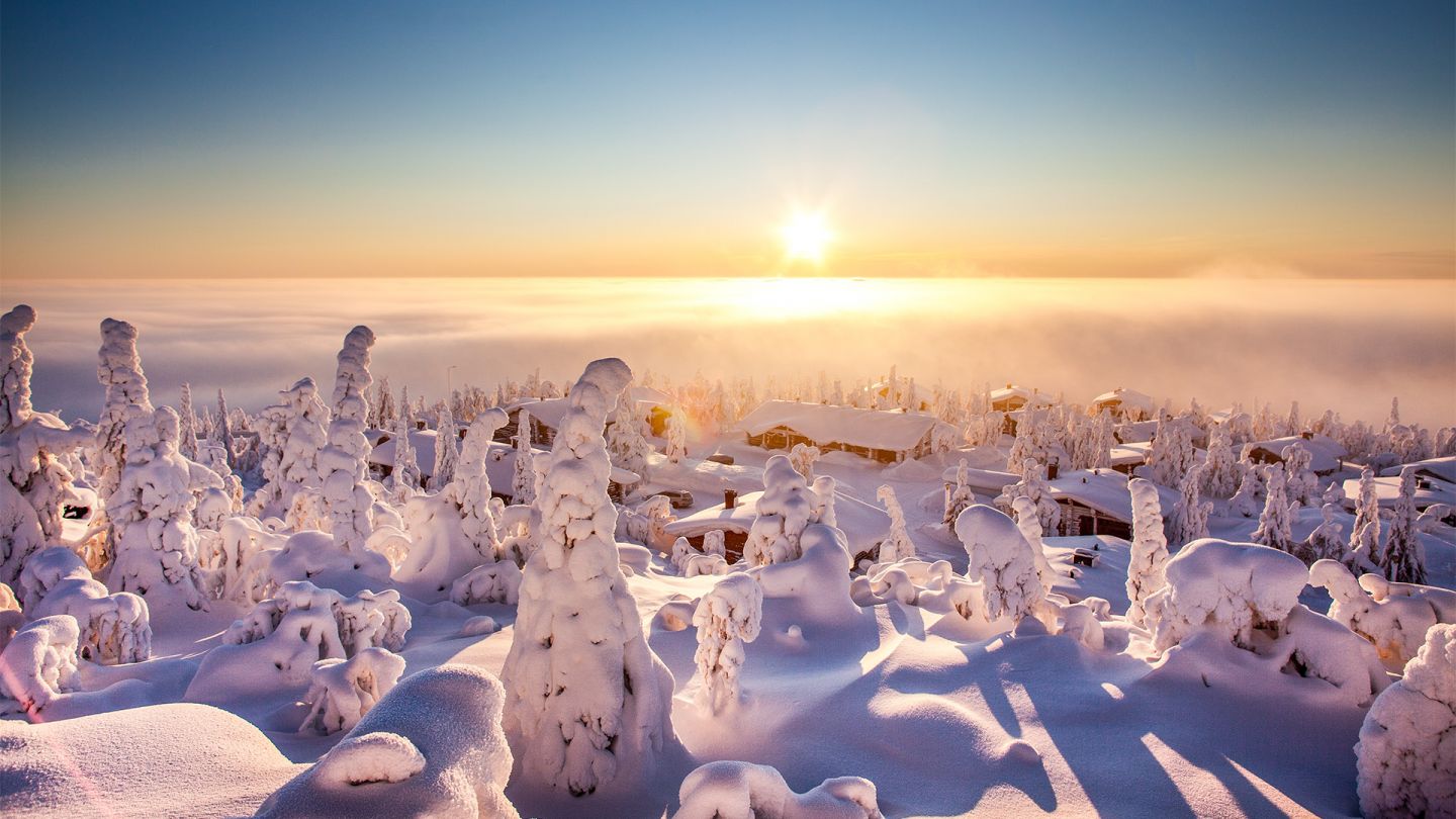 Syöte national park ricoperto di neve