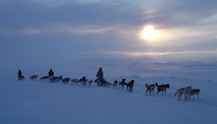 Husky safari nella Lapponia norvegese
