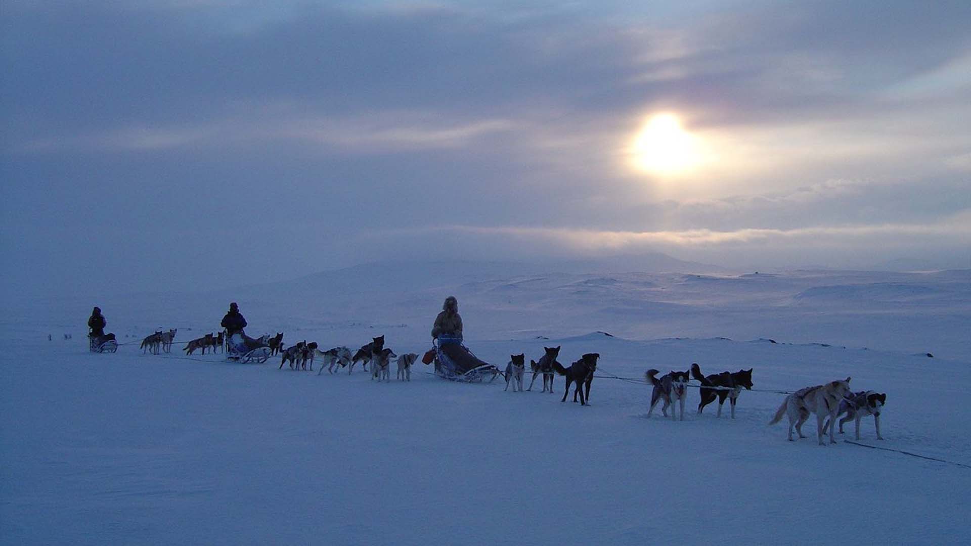 Husky safari nella Lapponia norvegese