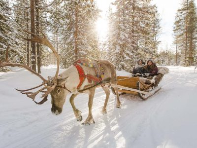 reindeer-sleigh-ride-santa-claus-village-rovaniemi-lapland