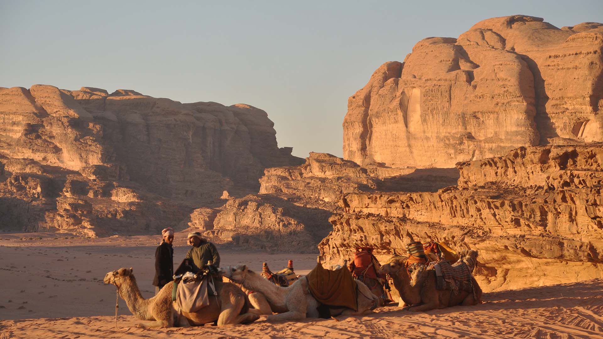 beduini e dromedari nel wadi rum