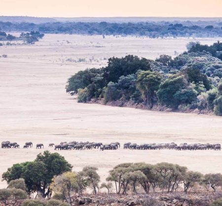 Sii un viaggiatore, non un turista.