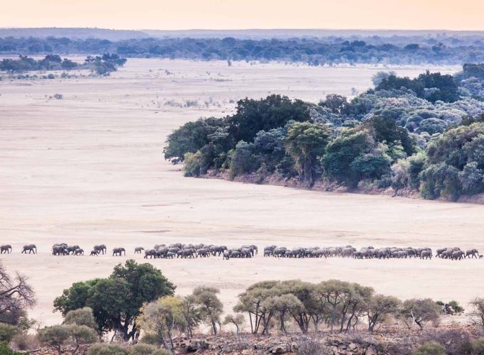Sii un viaggiatore, non un turista.