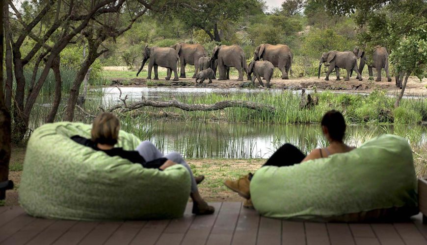 ospiti del tanda tula a timbavati seduti in veranda ad ammirare elefanti davanti alla pozza