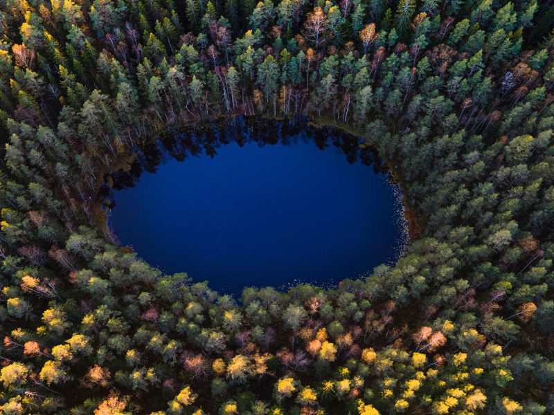 lago circolare nel nuuksio national park circondato da una foresta di abeti ripreso dall'alto