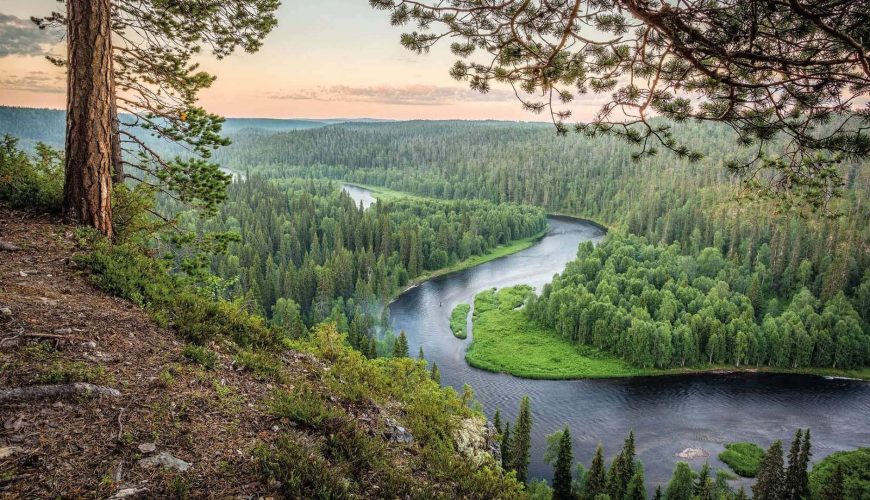 Escursione Oulanka National Park
