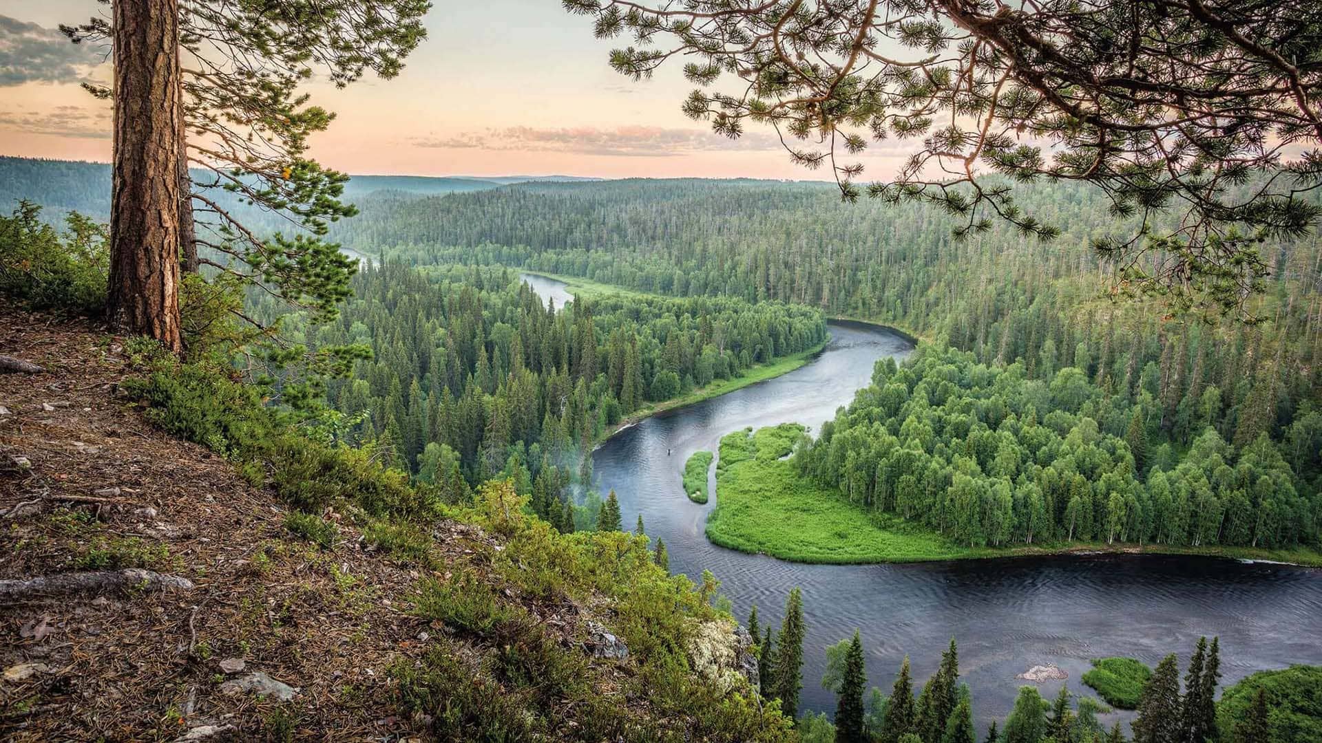Escursione Oulanka National Park