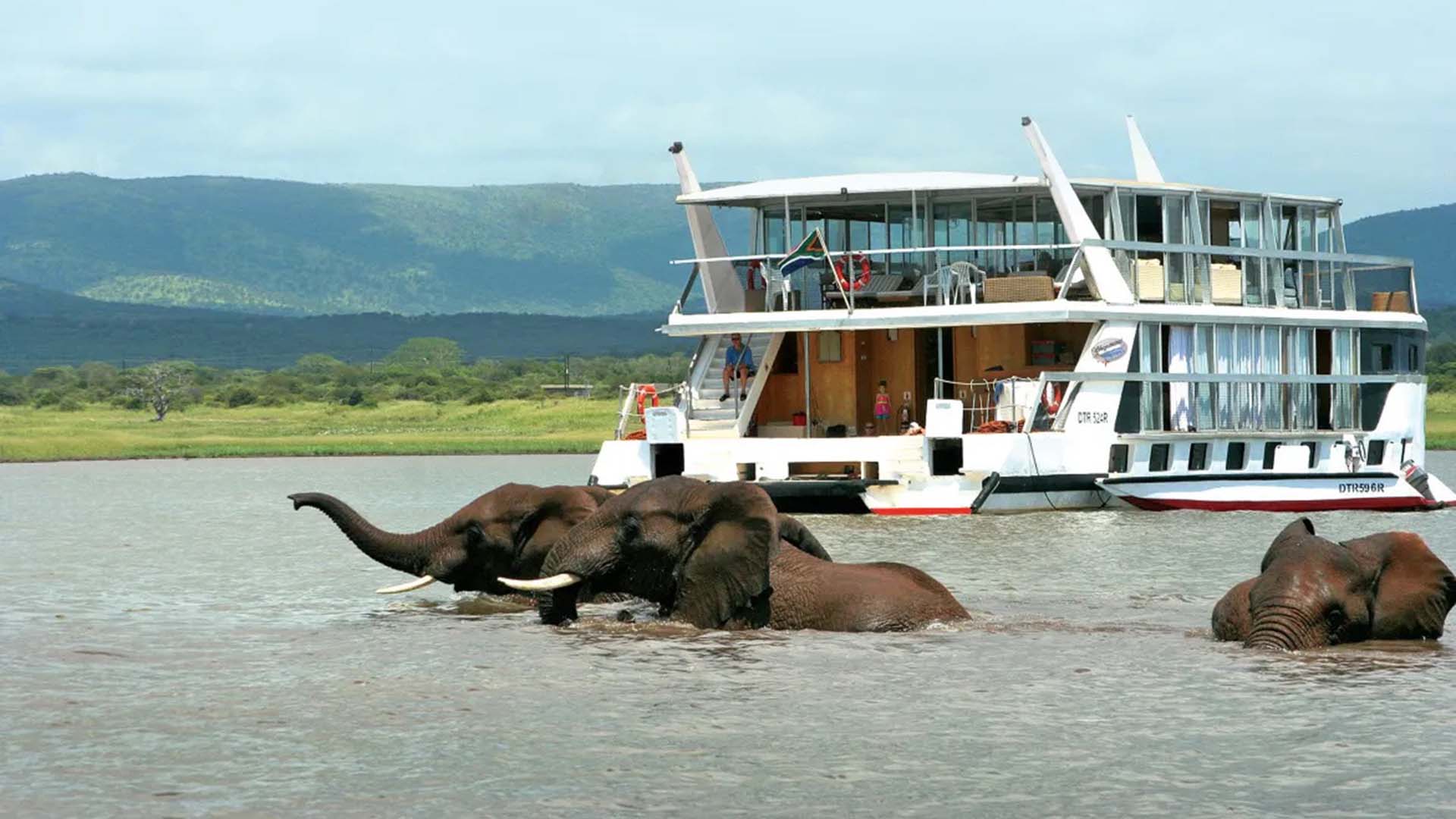 elefanti in acqua durante un safari in barca