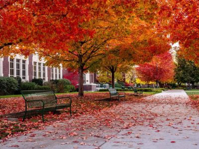 boise-idaho-fall-colors