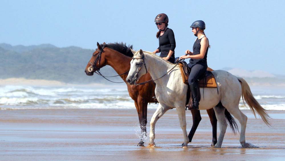 cavalli sulla spiaggia di st lucia isimangaliso