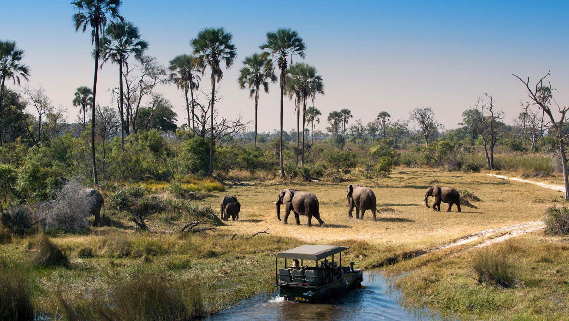 Viaggi naturalistici Botswana