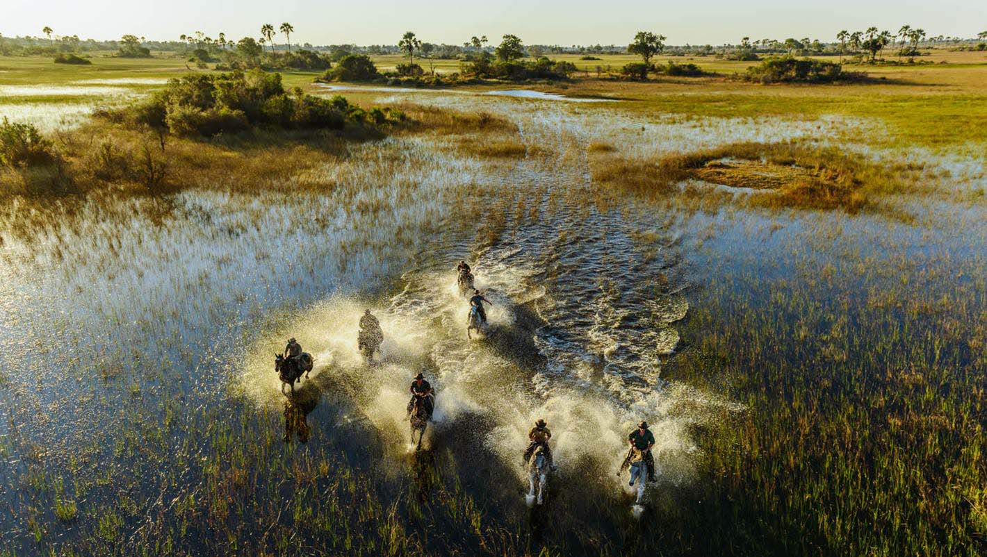 safari a cavallo nel delta dell'Okavango
