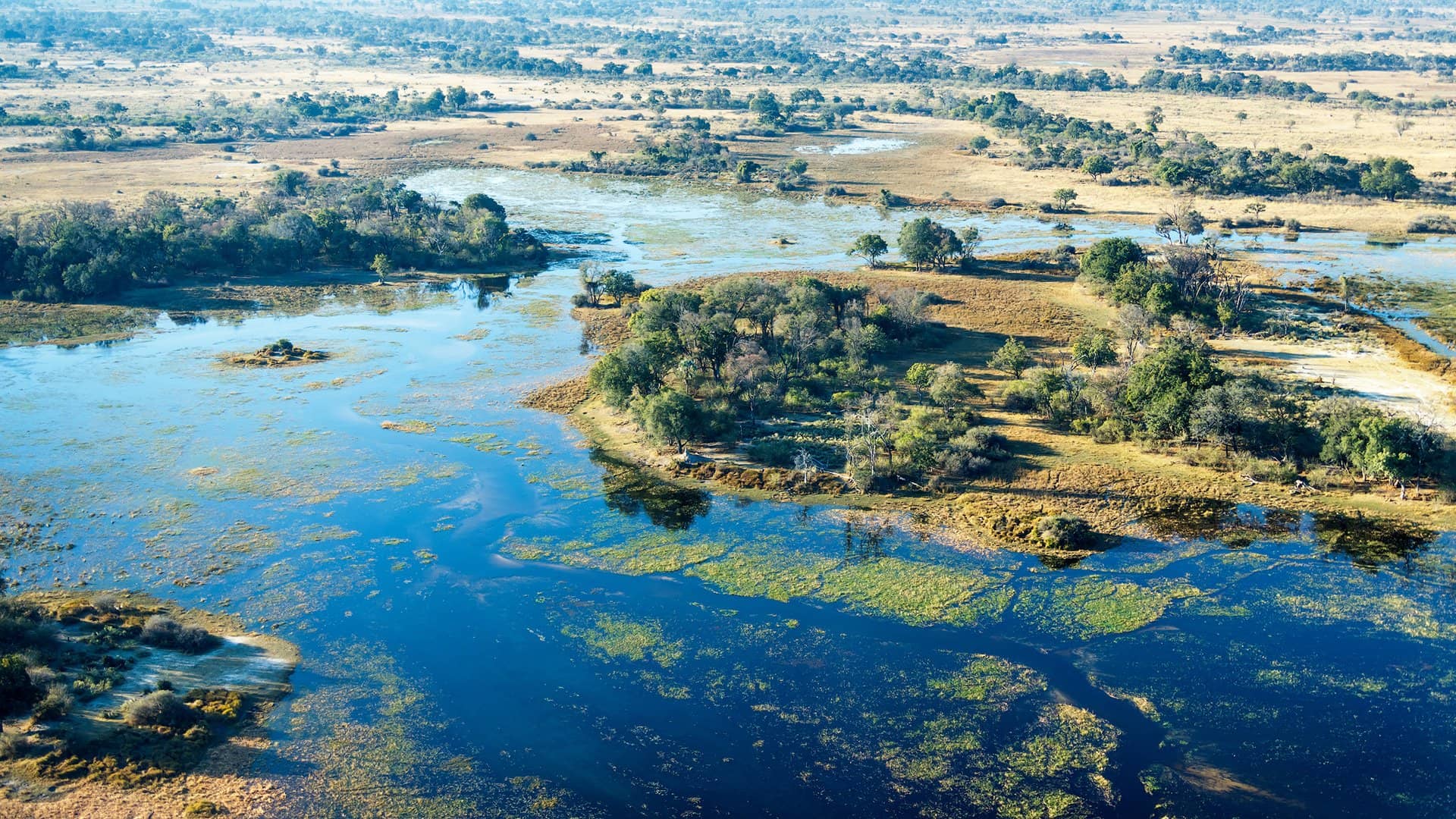 vista aerea del delta dell'okavango
