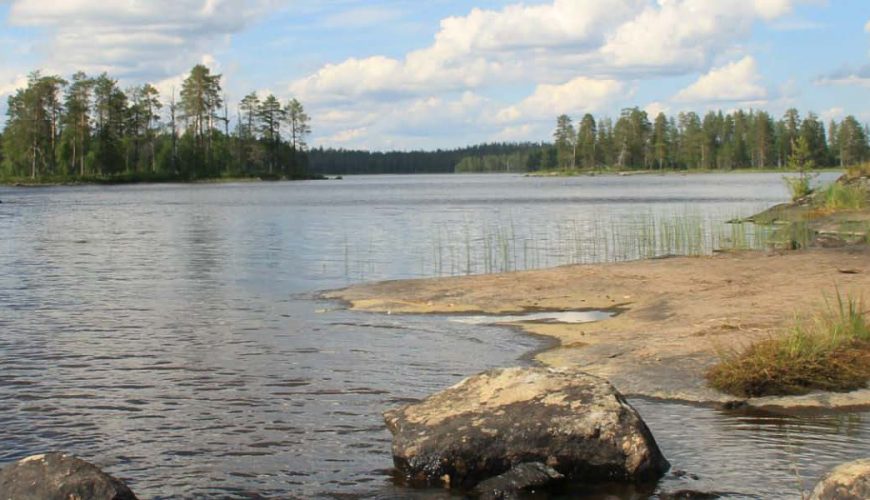 Wild Finlandia