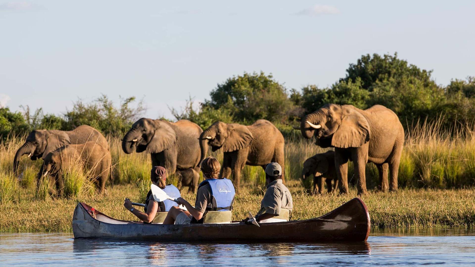safari in canoa nel Lower Zambezi vicino a una mandria di elefanti