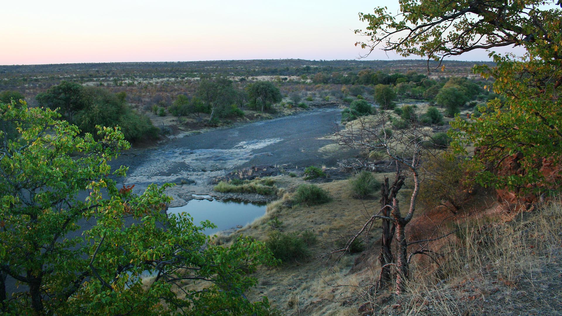 fiume Limpopo nella Tuli Block in Botswana