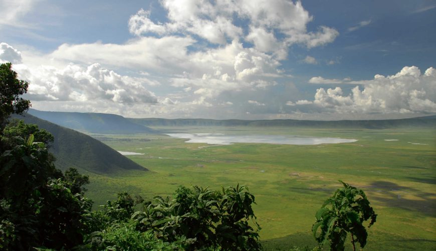 Ngorongoro