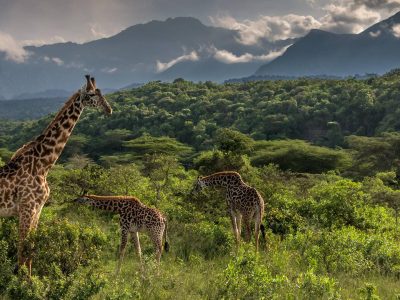 arusha national park
