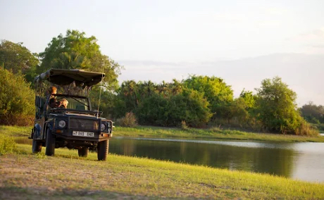 game drive nel nyerere national park