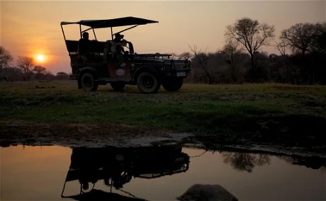 ruaha river lodge game drives game drive dal ruaha river lodge