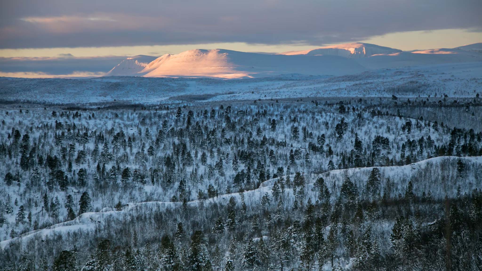 Stabbursdalen National Park