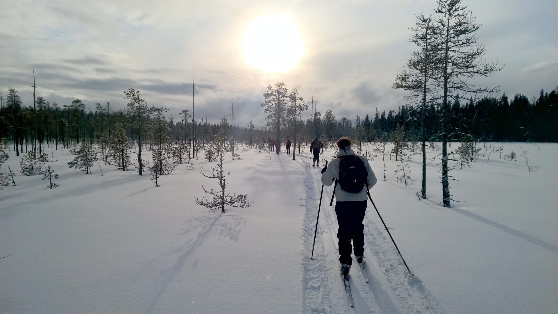 Ski trek nella wild taiga