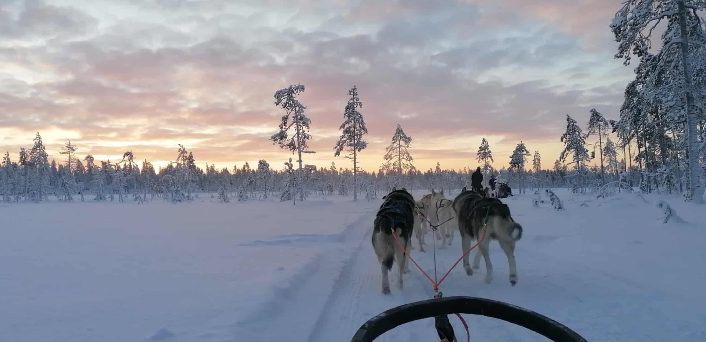 Wilderness Husky Adventure