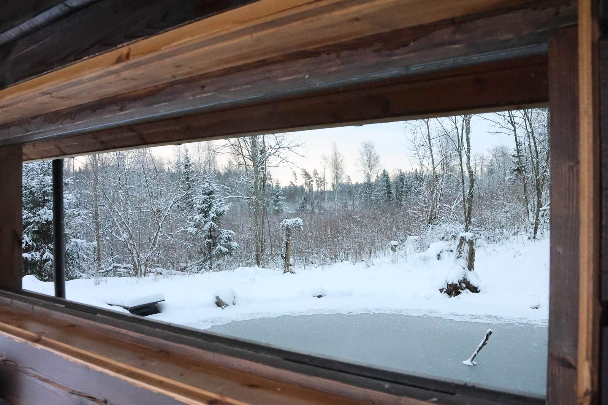 outside-glass-what-the-wildlife-see ampia vetrata di un capanno fotografico in estonia in inverno
