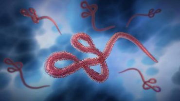 Ebola